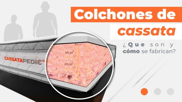 Descubre los beneficios del foam en las colchonetas de tela