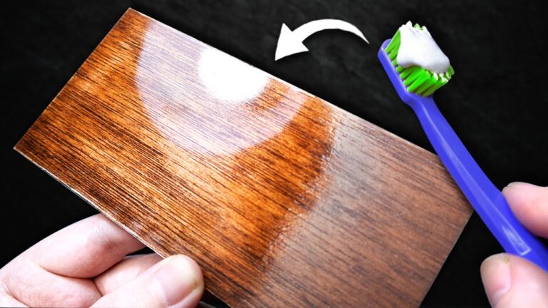 Colores de tela brillante: resalta tus muebles con estilo
