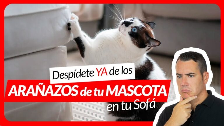 La elegancia de las telas de lujo para sofás suaves